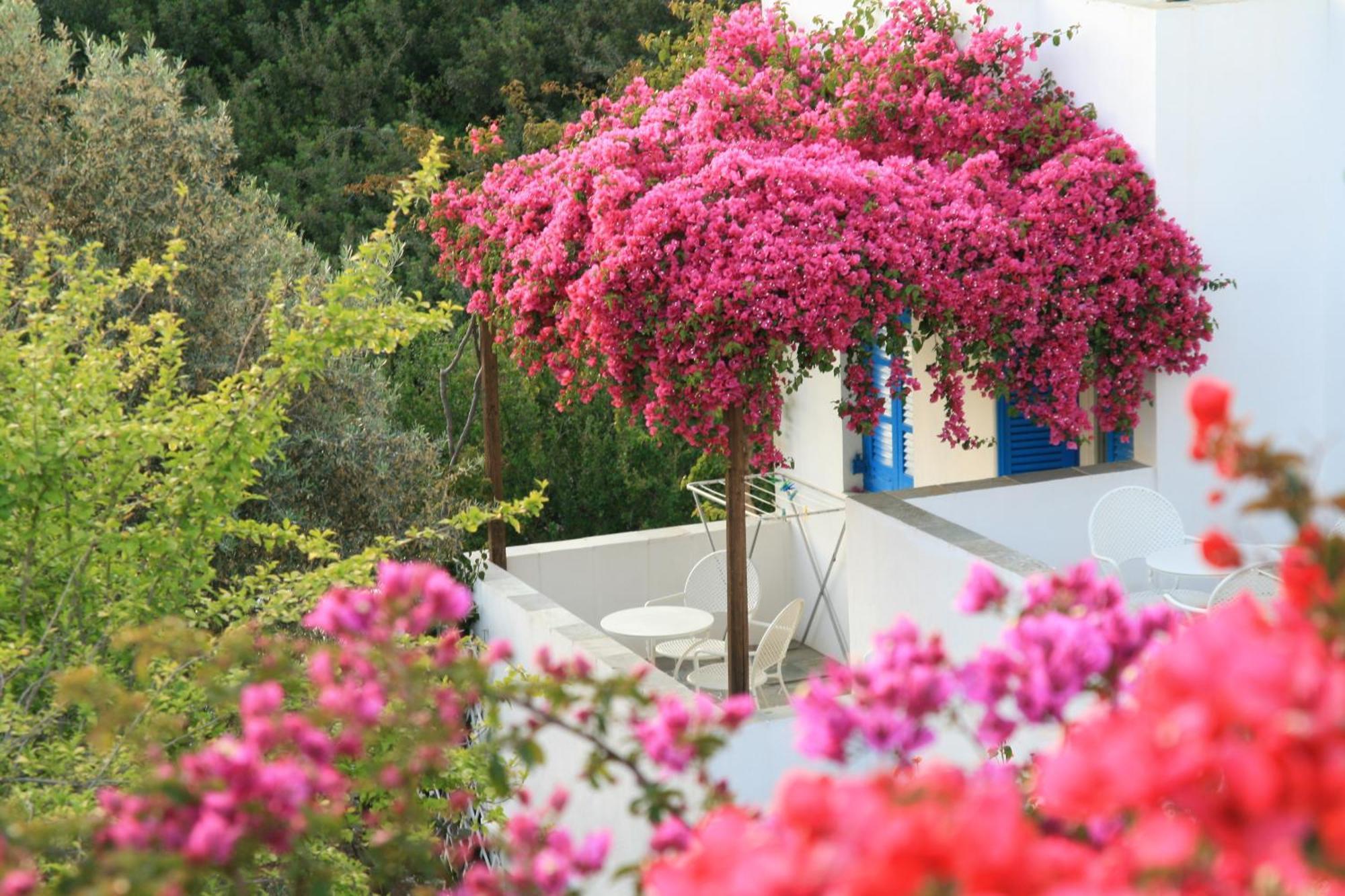 Alexandros Hotel Platis Gialos  Экстерьер фото
