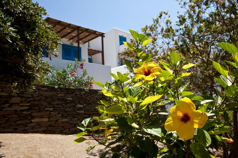 Alexandros Hotel Platis Gialos  Экстерьер фото