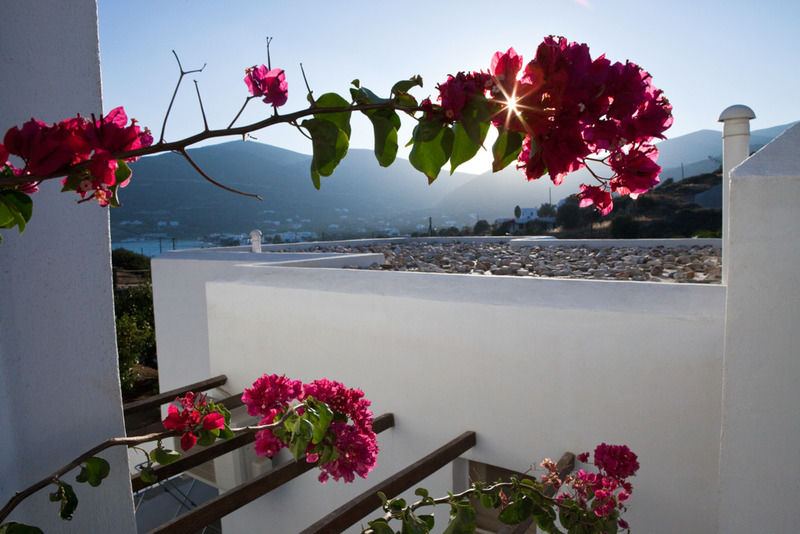 Alexandros Hotel Platis Gialos  Экстерьер фото